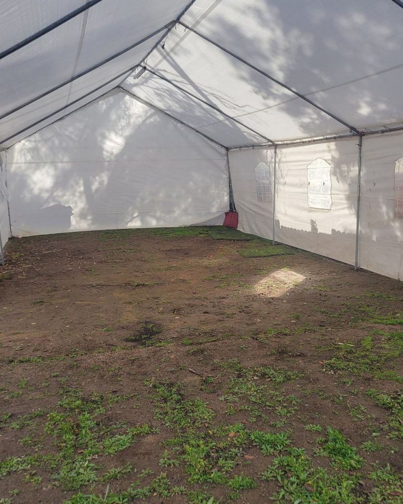 carpas3